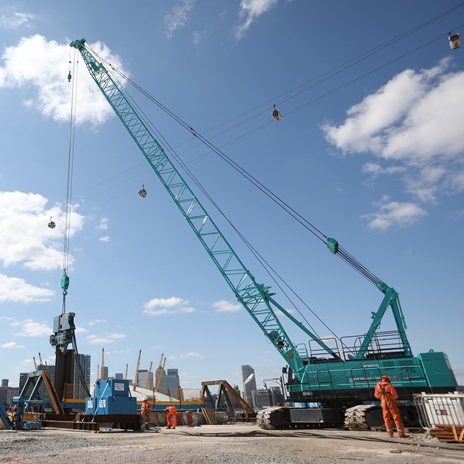 CRANES thumb 646x646