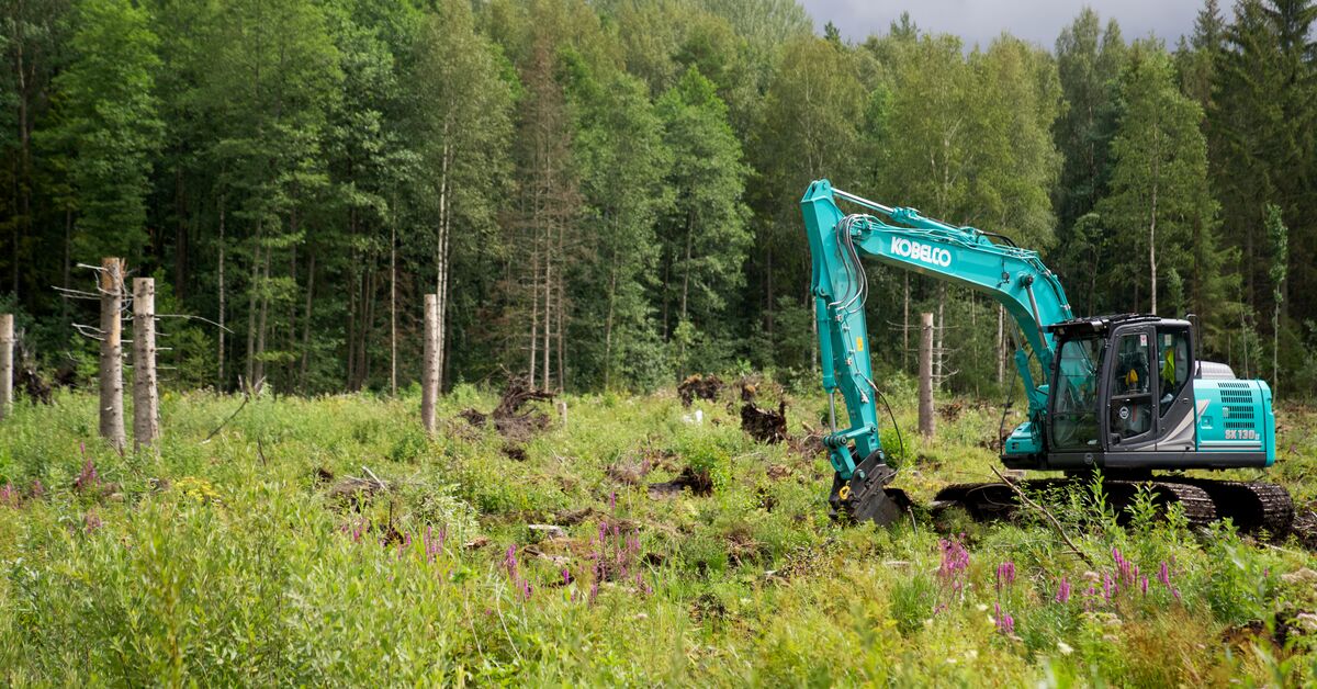 FB Lkdin Link Image SK130LC 11 EU Jobsite